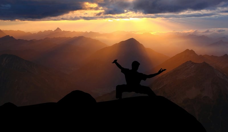 Kung Fu Martial Arts Fighter